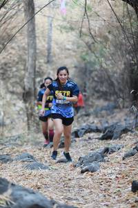 BIB: 
                            <button type="button" onclick="openModal(7249446)" class="btn btn-primary btn-sm float-right btn-popup" data-toggle="modal" data-target=".modal-high-quality">
                        <i class="fas fa-shopping-cart"></i> Add to Cart
                    </button>
                                            <button type="button" onclick="isThisMe(7249446, true)" class="btn btn-success btn-sm float-right btn-popup btn-isme hidden" data-toggle="tooltip" data-placement="bottom" title="นี่คือรูปของคุณใช่ไหม คลิกที่นี่เพื่อเอาเข้าอัลบั้ม">
                        <i class="fas fa-plus"></i> Add to album
                    </button>
                    <button type="button" onclick="isThisMe(7249446, false)" class="btn btn-warning btn-sm float-right btn-popup btn-isnotme hidden">
                        <i class="fas fa-ban"></i> Remove from album
                    </button>